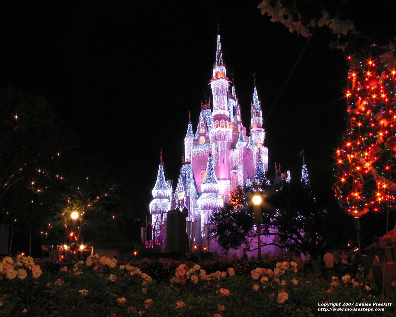 Desktop Wallpaper Christmas Photos From Walt Disney World Mousesteps
