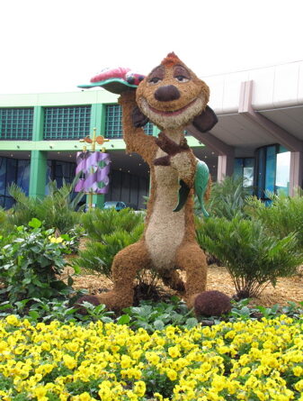 Timon Topiary with Grubs for EPCOT International Floewr and Garden Festival 2010
