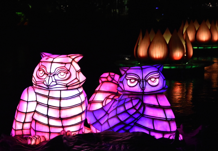 Review: Rivers of Light Opens at Disney's Animal Kingdom; Review w/Photos &  Dining Package Tips – Mousesteps