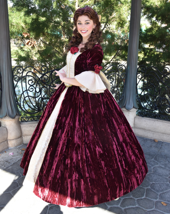 Disney Belle Christmas Dress