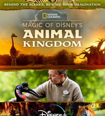 Magic of Disneys Animal Kingdom
