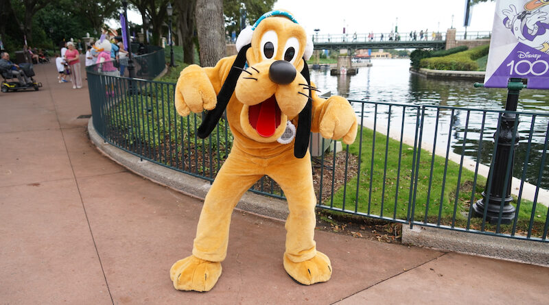Pluto in his holiday ear muffs and collar at the International Gateway during EPCOT International Festival of the Holidays