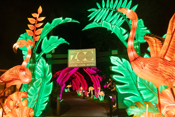 Asian Lantern Festival Central Florida Zoo